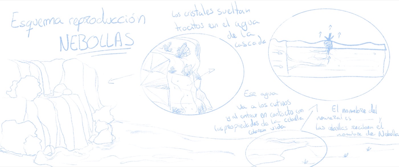 Boceto 2 — ilustración científica
